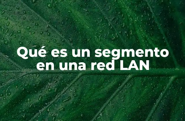 Qué es un Segmento en una Red Lan