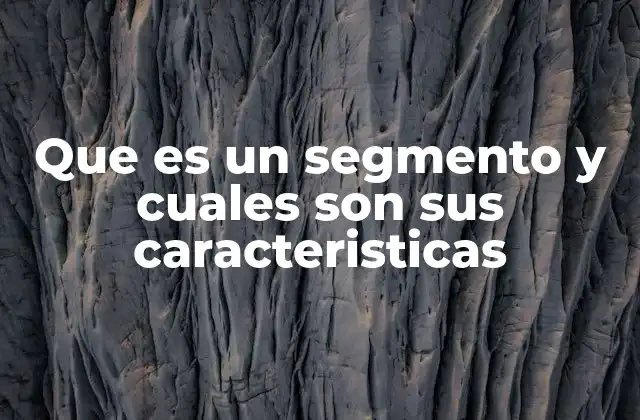 Que es un Segmento y Cuales Son Sus Caracteristicas