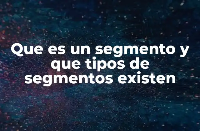 Que es un Segmento y que Tipos de Segmentos Existen