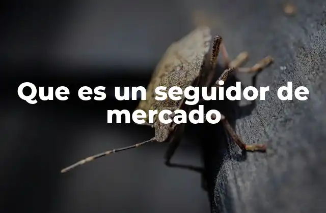 Que es un Seguidor de Mercado