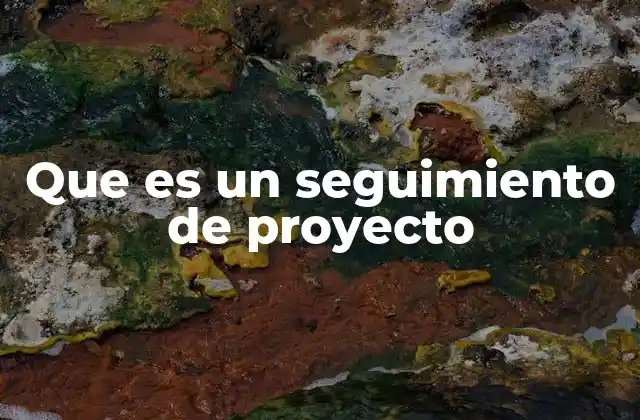 Que es un Seguimiento de Proyecto