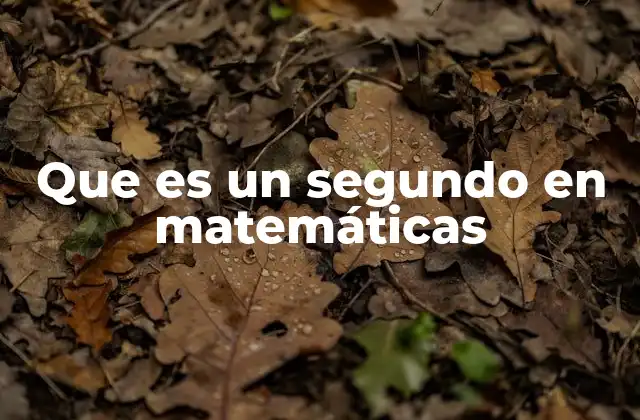 Que es un Segundo en Matemáticas