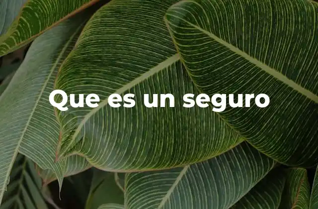 Que es un Seguro