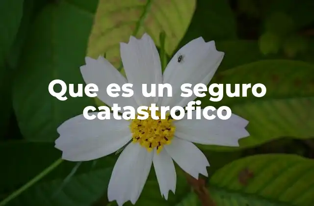 Que es un Seguro Catastrofico
