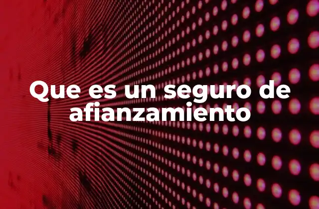 Que es un Seguro de Afianzamiento