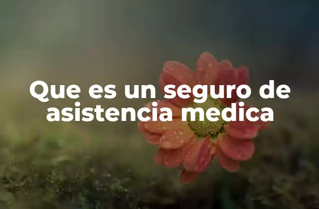 Que es un Seguro de Asistencia Medica