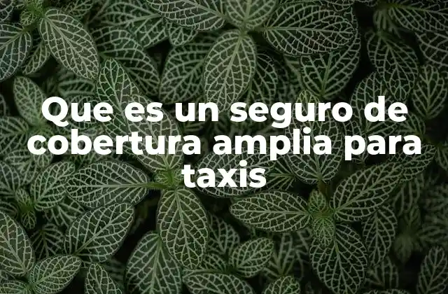 Que es un Seguro de Cobertura Amplia para Taxis