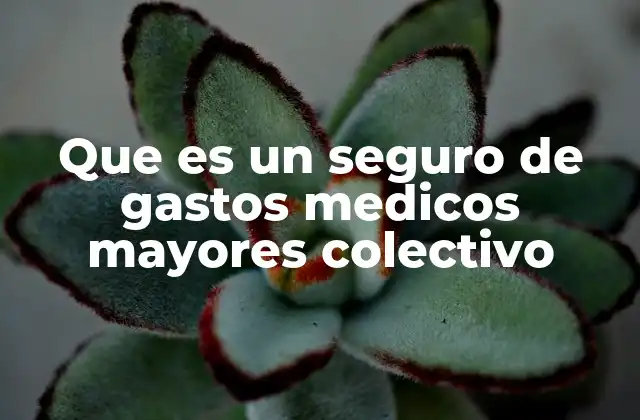 Que es un Seguro de Gastos Medicos Mayores Colectivo