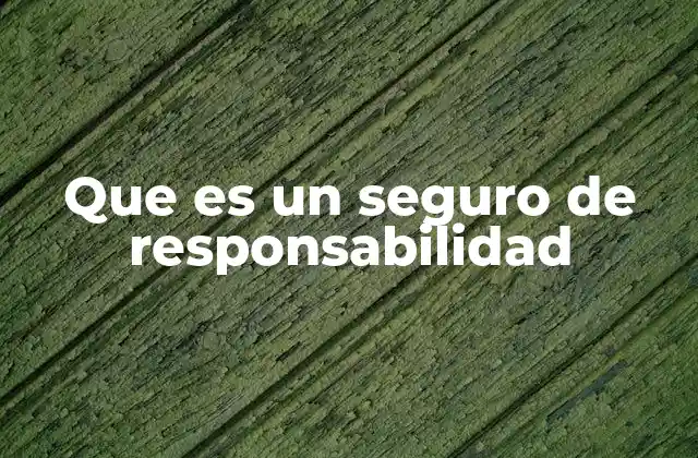Que es un Seguro de Responsabilidad 2 La importancia de protegerse frente a imprevistos