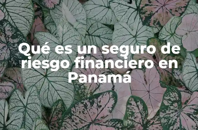 Qué es un Seguro de Riesgo Financiero en Panamá