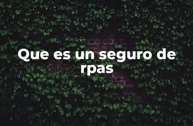 Que es un Seguro de Rpas