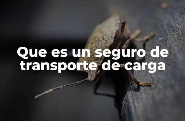 Que es un Seguro de Transporte de Carga