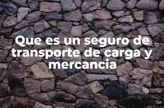 Que es un Seguro de Transporte de Carga y Mercancia
