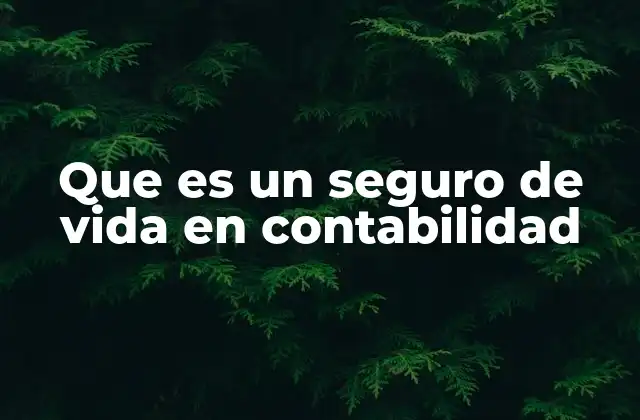 El rol del seguro de vida en la contabilidad empresarial
