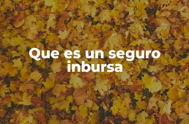 Que es un Seguro Inbursa
