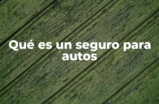 Qué es un Seguro para Autos