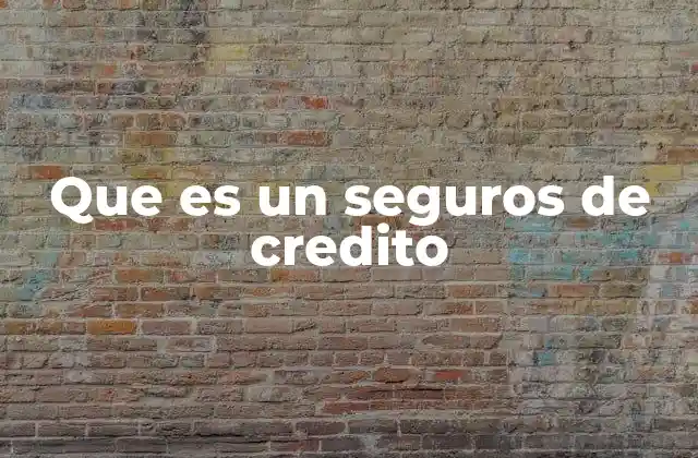 Que es un Seguros de Credito