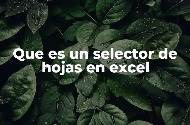 Que es un Selector de Hojas en Excel