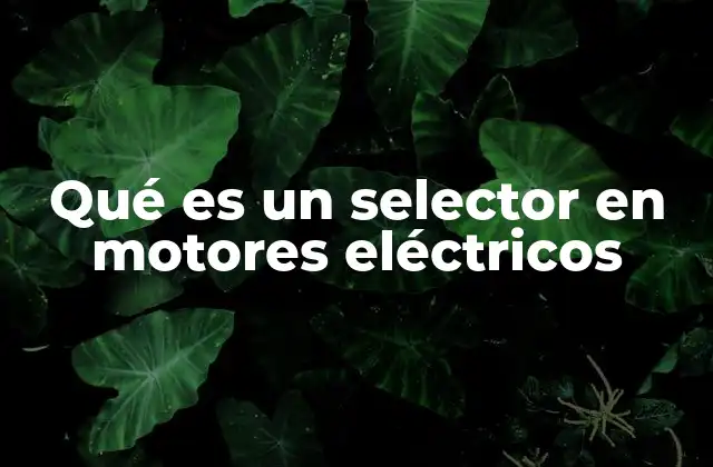 Qué es un Selector en Motores Eléctricos