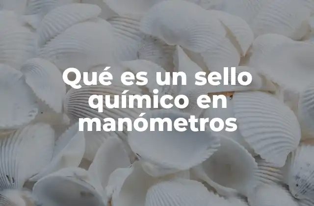 Qué es un Sello Químico en Manómetros