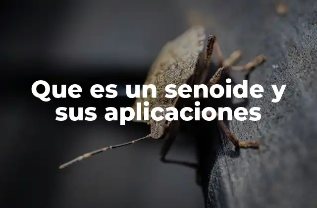 Que es un Senoide y Sus Aplicaciones