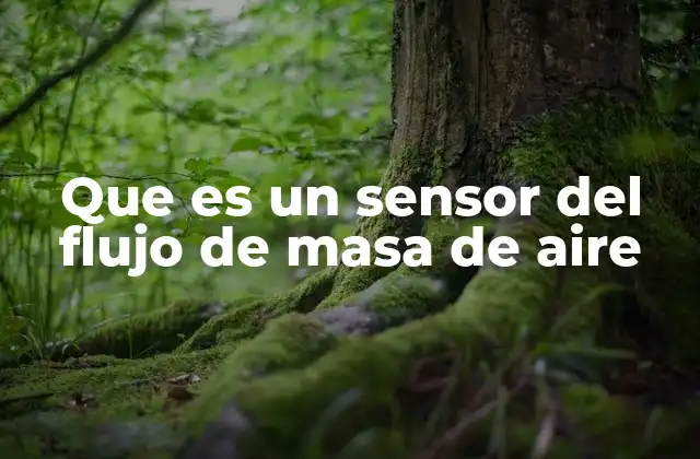 Que es un Sensor Del Flujo de Masa de Aire 2 El papel del sensor de flujo de masa en la eficiencia del motor