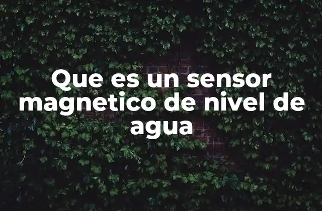 Que es un Sensor Magnetico de Nivel de Agua