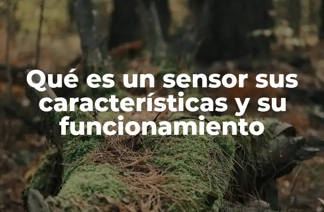 Qué es un Sensor Sus Características y Su Funcionamiento