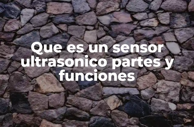 Que es un Sensor Ultrasonico Partes y Funciones
