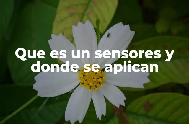 Que es un Sensores y Donde Se Aplican