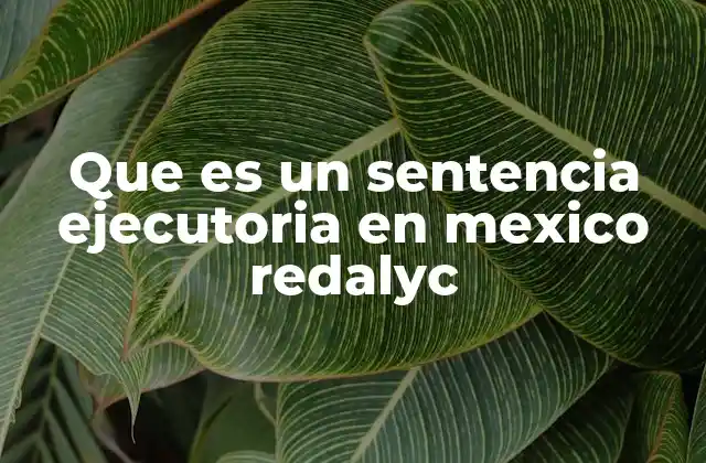 Que es un Sentencia Ejecutoria en Mexico Redalyc