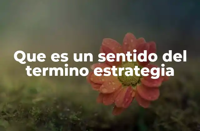 Que es un Sentido Del Termino Estrategia