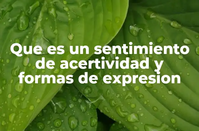 Que es un Sentimiento de Acertividad y Formas de Expresion