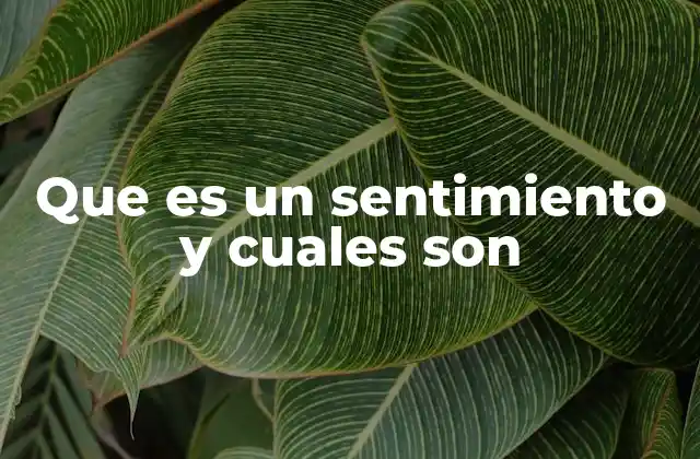 Que es un Sentimiento y Cuales Son