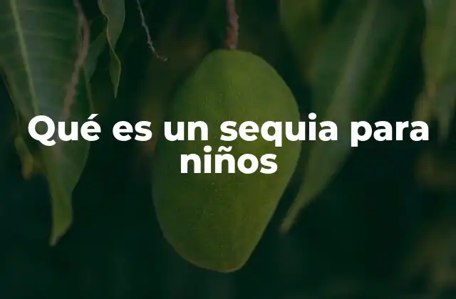 Qué es un Sequia para Niños