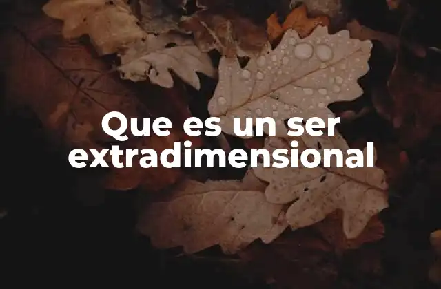 Que es un Ser Extradimensional