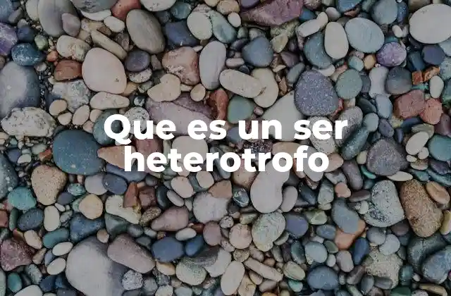 Que es un Ser Heterotrofo