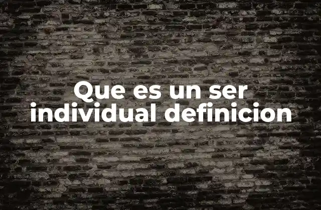 Que es un Ser Individual Definicion