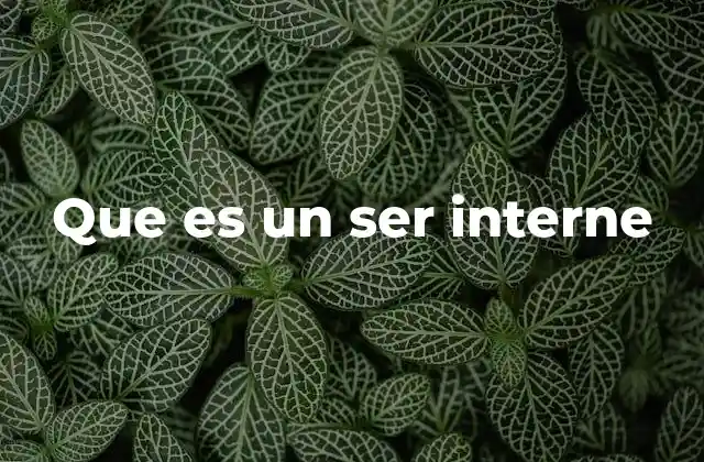 Que es un Ser Interne