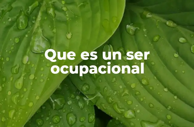 Que es un Ser Ocupacional