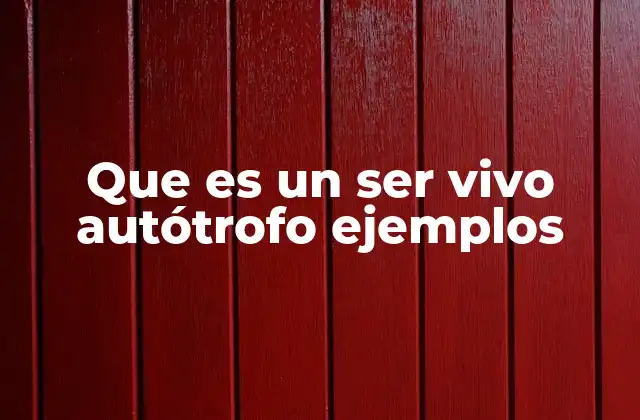 Que es un Ser Vivo Autótrofo Ejemplos