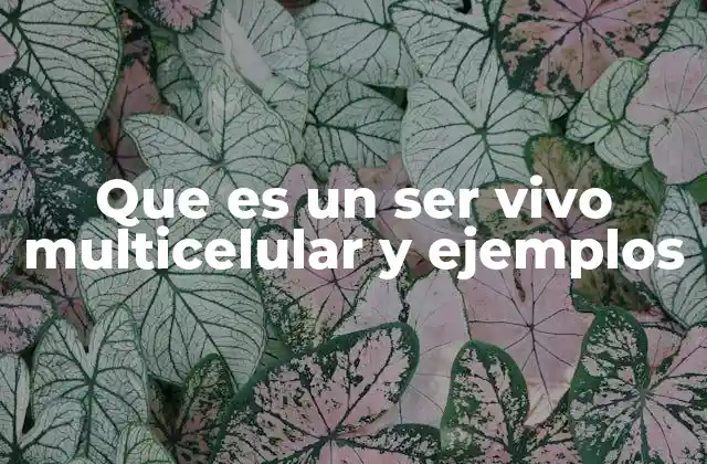 Que es un Ser Vivo Multicelular y Ejemplos