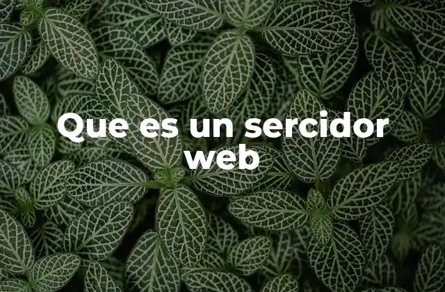 Que es un Sercidor Web