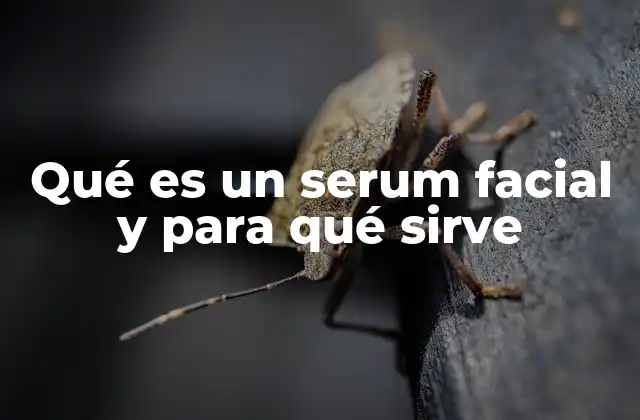Qué es un Serum Facial y para Qué Sirve 2 La importancia de los serums en la rutina de cuidado facial