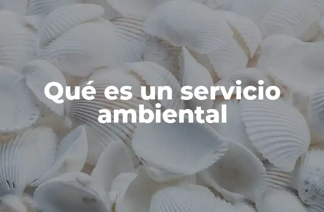Qué es un Servicio Ambiental