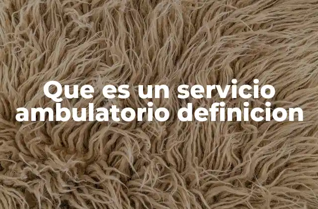 Que es un Servicio Ambulatorio Definicion