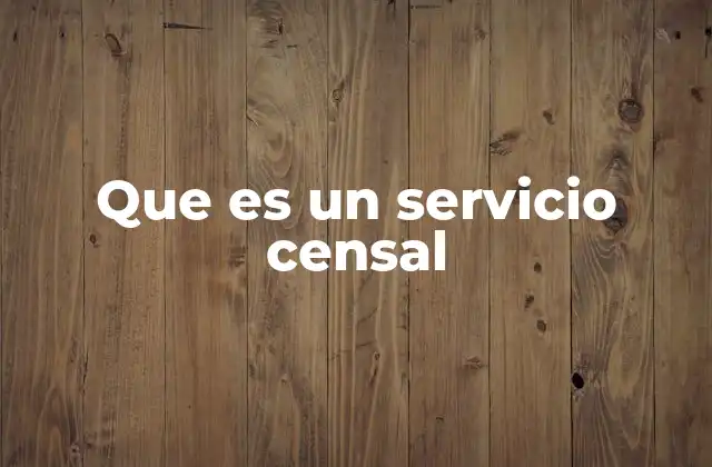 Que es un Servicio Censal