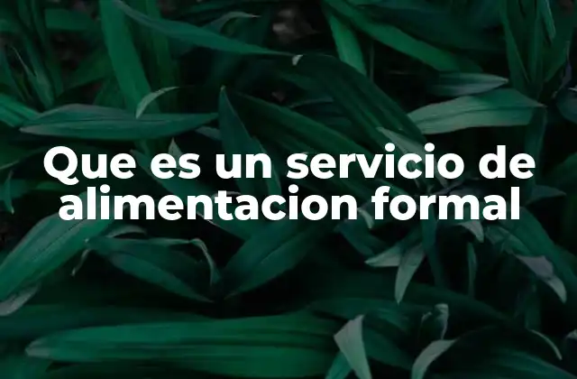 Que es un Servicio de Alimentacion Formal