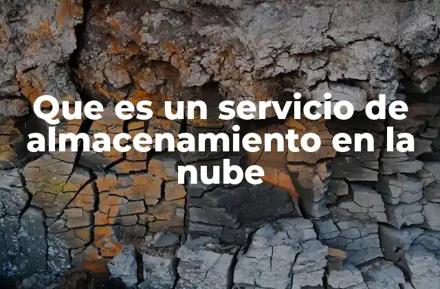 Que es un Servicio de Almacenamiento en la Nube