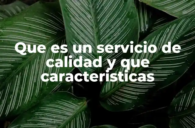 Que es un Servicio de Calidad y que Caracteristicas